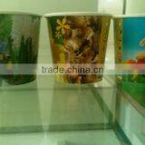 Paper Cup Planting(small),mini Plant,holiday Decor.Eco-friendly Product thumbnail-1