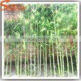Factory Direct Sale Artificial Bamboo Plant Indoor And Outdoor thumbnail-3