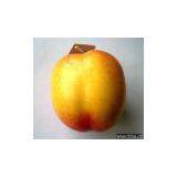 Artificial Vegetable thumbnail-1