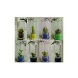 Pet Tree (mini Plant, Pet Plant, Mobile Phone Accessories)