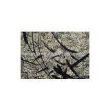 Flock on Flock Fabric thumbnail-1