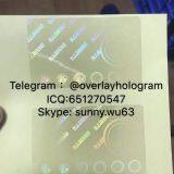 Georgia/Michigan/Illinois/Mississippi/Missouri id State Overlay Hologram thumbnail-2