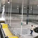 Automatic Food processing potato Frozen french fries production line