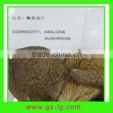 Good Quality Dried Abalone Mushroom thumbnail-1