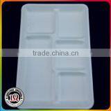Disposable Biodegradable Fast Food Restaurant Packaging Tray