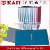 OEM a4 File Folder, Plastic File Folder, Pvc File Folder,plastic Clear File Folder