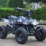 2015 New 500w36V 800W36V Mini Atv Electric