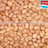 Bulk Organic Raw Peanut