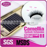 Soft Feeliing 0.07 Camellia Mink Eyelash Extension