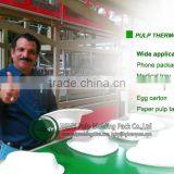 Biodegradable Sugarcane Fiber Paper Tableware Machine by HGHY thumbnail-6