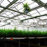 Polycarbonate Sheet Greenhouse thumbnail-4