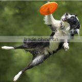 Fashion Printing Logo Plastic Frisbee Plastic Ring Frisbee
