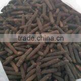 Indonesia long pepper