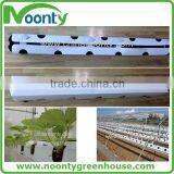 Hydroponic Growing Box for Strawberry thumbnail-2