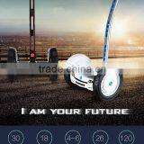 Chariot Kit Two Wheel Boosted Electric Skateboard With Reasonable Price