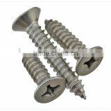 Stainless Steel Self Tapping Screw/self Tapping Screw/tapping Secrw thumbnail-4
