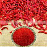 SPICY CHILI POWDER EXPORT QUALITY thumbnail-1