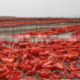 Sweet Sun Dried Tomatoes Wholesale thumbnail-5