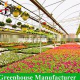 Cheap Commercial Green Houses thumbnail-4