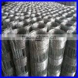 China Wire Diameter 1.8cm-2.5mm Galvanized Hinge Joint Knot Wire Mesh Grassland Fence/kraal Network/animal Fence thumbnail-3