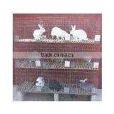 Metal Rabbit Cage