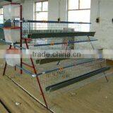 Meat Chicken Cage (Direct Factory) thumbnail-3