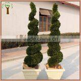 Commercial Decorative Preserved Spiral Boxwood Topiary thumbnail-2