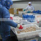 Seafood Medly thumbnail-5