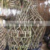 Lagerstroemia Indica Tree Different Shape Packing and Loading thumbnail-2