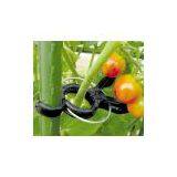 Tomato Stem Clip thumbnail-3