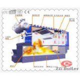 DHL Corner Tube Chain Grate Boiler in Paper Industry thumbnail-2