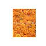 Lutein 90%, 80%, 75%, 40% thumbnail-1