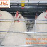 Sri Lanka Chicken Supplier Chicken Shed & Hot Galvanized Cage for Hen & A Type Battery Layer Breeder Chicken Cage & Laying Hen Coop for Poultry Farm