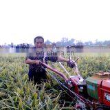 Top Sale Green Onion Harvest Machine/Ginger Harvesting Machine thumbnail-4