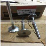 ISLE 6L Diesel Engine Intake Valve 3942588 3800340