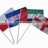 Mini Flag thumbnail-1