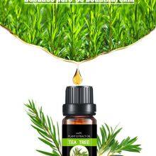 Tea Tree Essential Oil For Skin Body Aroma Humidifier Diffuser In Bulk Price Pure Natural thumbnail-2