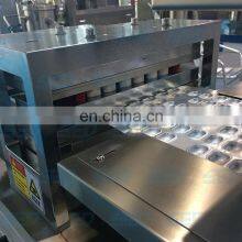 Fully Automatic High Speed Blister Cartoning Packing Machine Masala Blister Packing Machine thumbnail-4