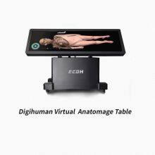 EC 88-inch Virtual Anatomy Digihuman Virtual Anatomy Table on Teaching Screen/ Virtual Human Body Teaching Anatomy Table All-in-one Medical Teaching Touch Platform Simulation Teaching thumbnail-2
