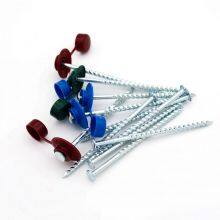 China Galvanized Twist Nails With Plastic Caps thumbnail-5