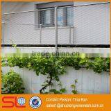 2mmx50mm Stainless Steel Rope Mesh Green Wall