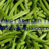 COMPETITIVE PRICE_FRESH OKRA _FROM VIETNAM