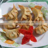 Vegetable Dumpling thumbnail-2