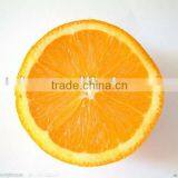 Navel Orange thumbnail-1