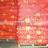 Yellow Onion Big Size thumbnail-1