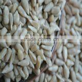 Bakery Sunflower Kernels for Human Consumption thumbnail-3