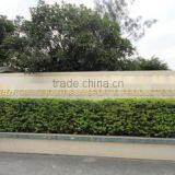 Quanzhou Trisun Sports Products Co., Ltd. company overview - view 2 thumbnail