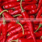 IQF Frozen Chilli/BQF Chilli Paste With BRC Certificate