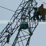 Bird Sheilds Device thumbnail-6