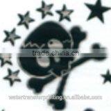 Water Transfer Printing Film